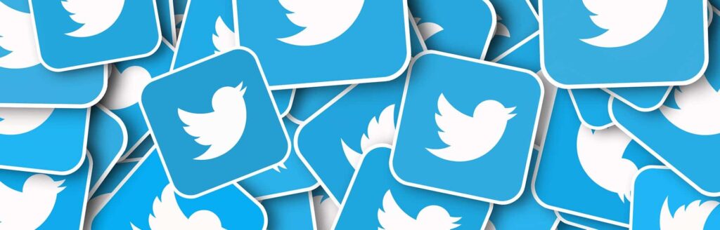 Graphic of the Twitter Bird logo